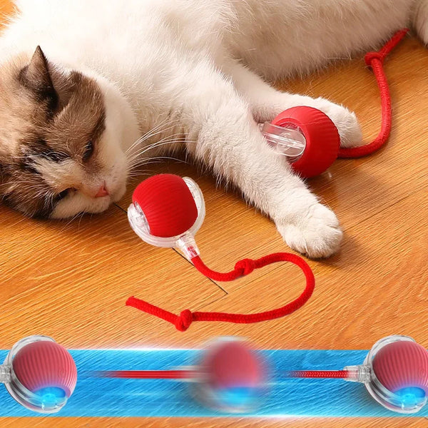 Rotating Smart Ball Cat Toy