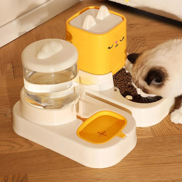 Cat Water Fountain & Feeder Set