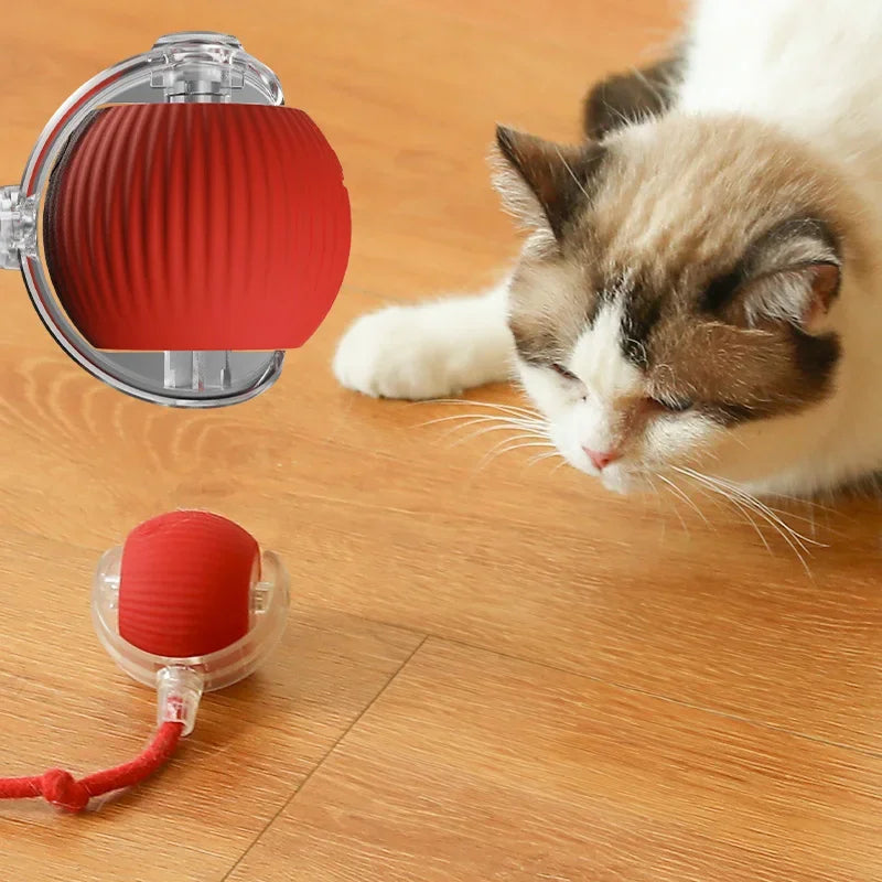 Rotating Smart Ball Cat Toy