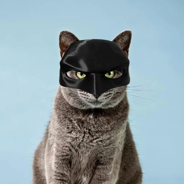 Batcat Mask