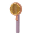 Pumpkin Pet Brush For Cats And Dogs